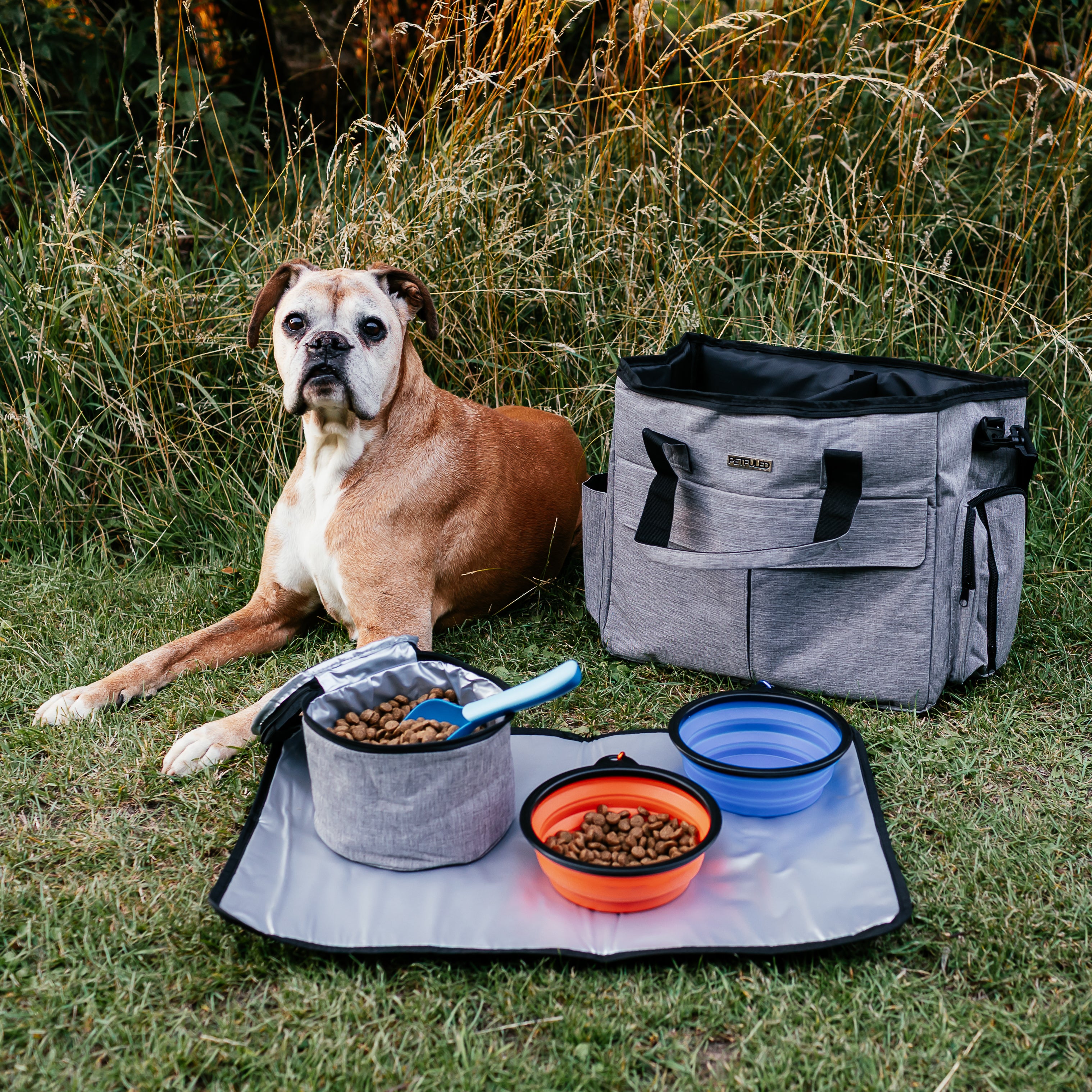 Dog Travel Bag Set