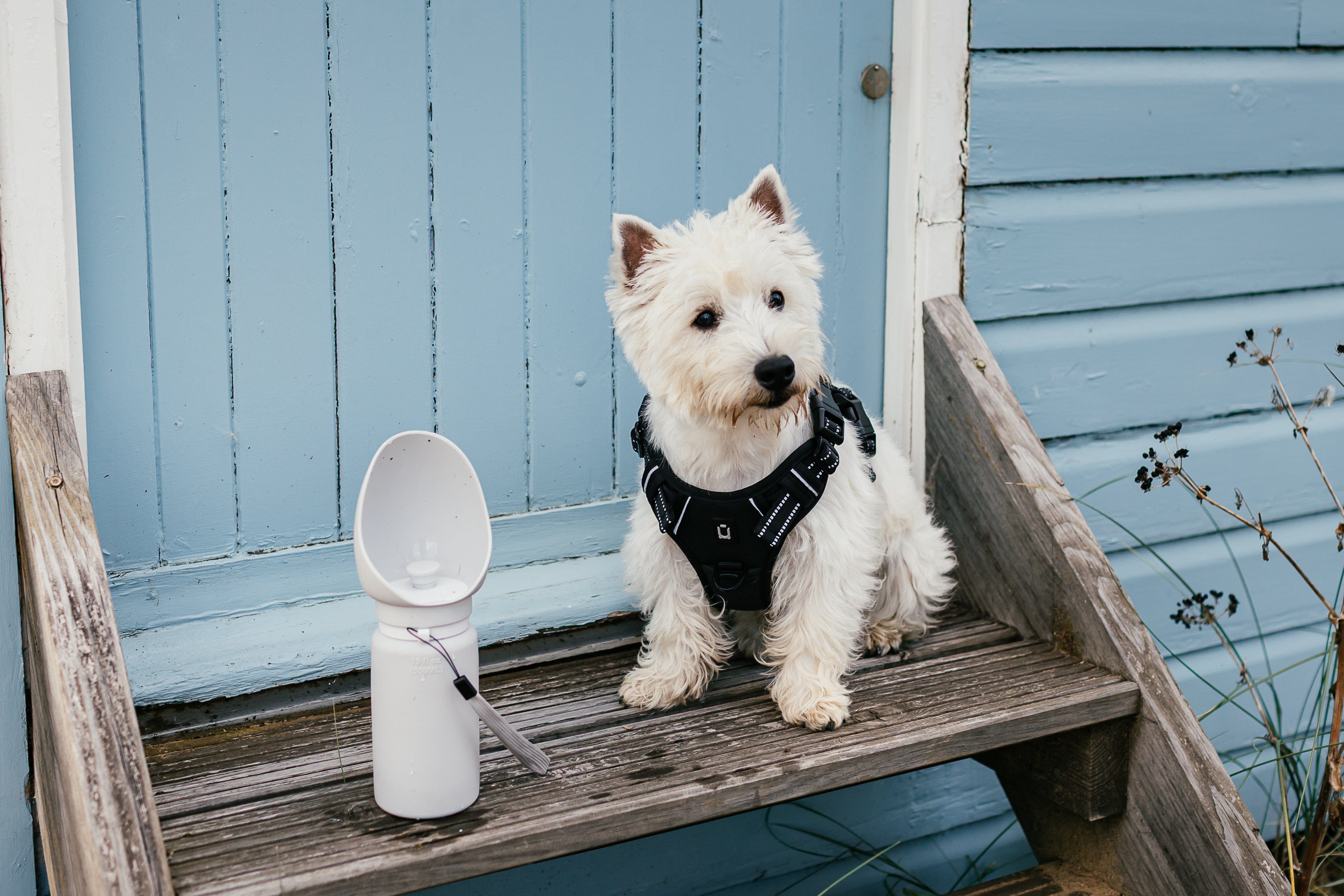 The Dog Outpost 550ml Folding Dog Water Bottle