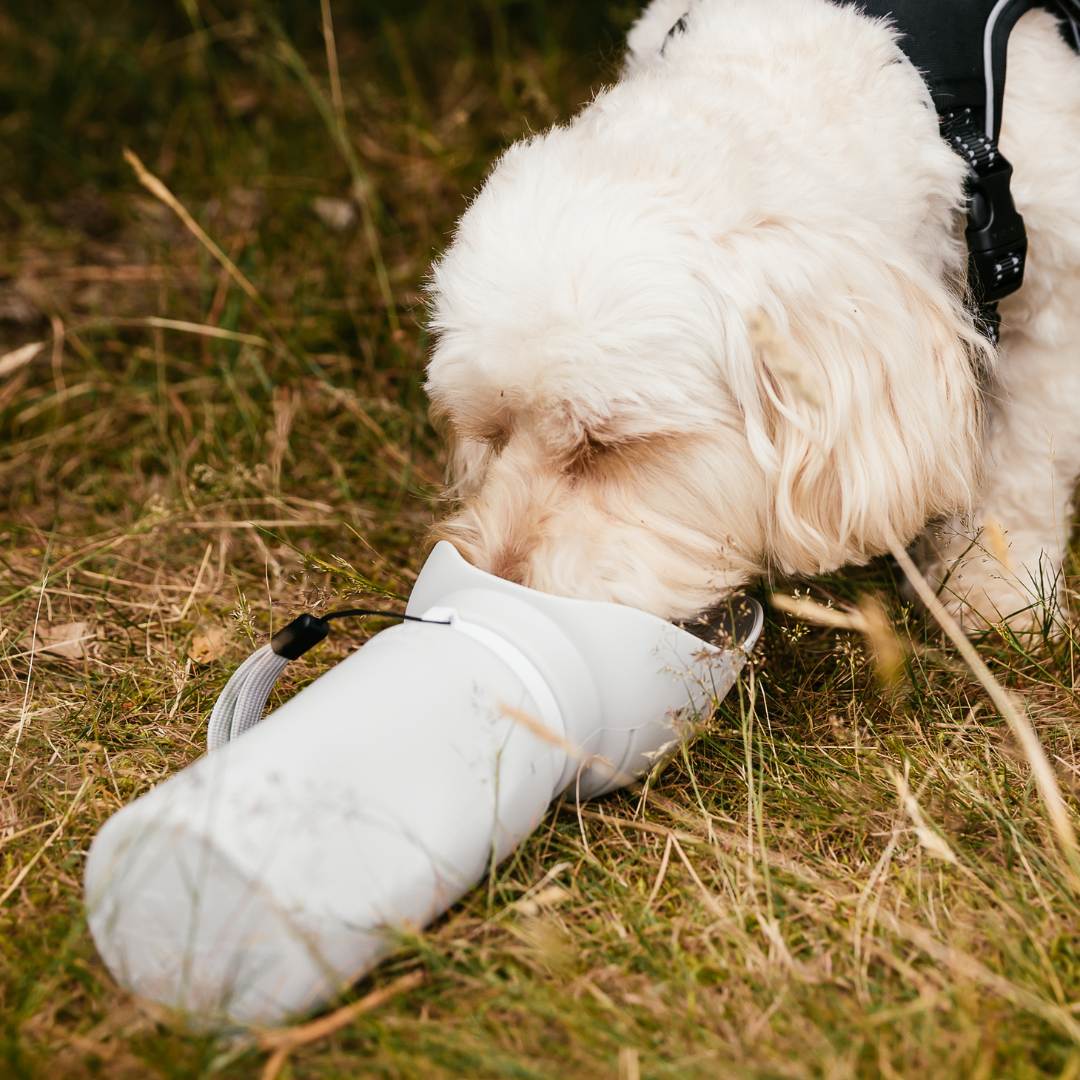 The Dog Outpost 550ml Folding Dog Water Bottle
