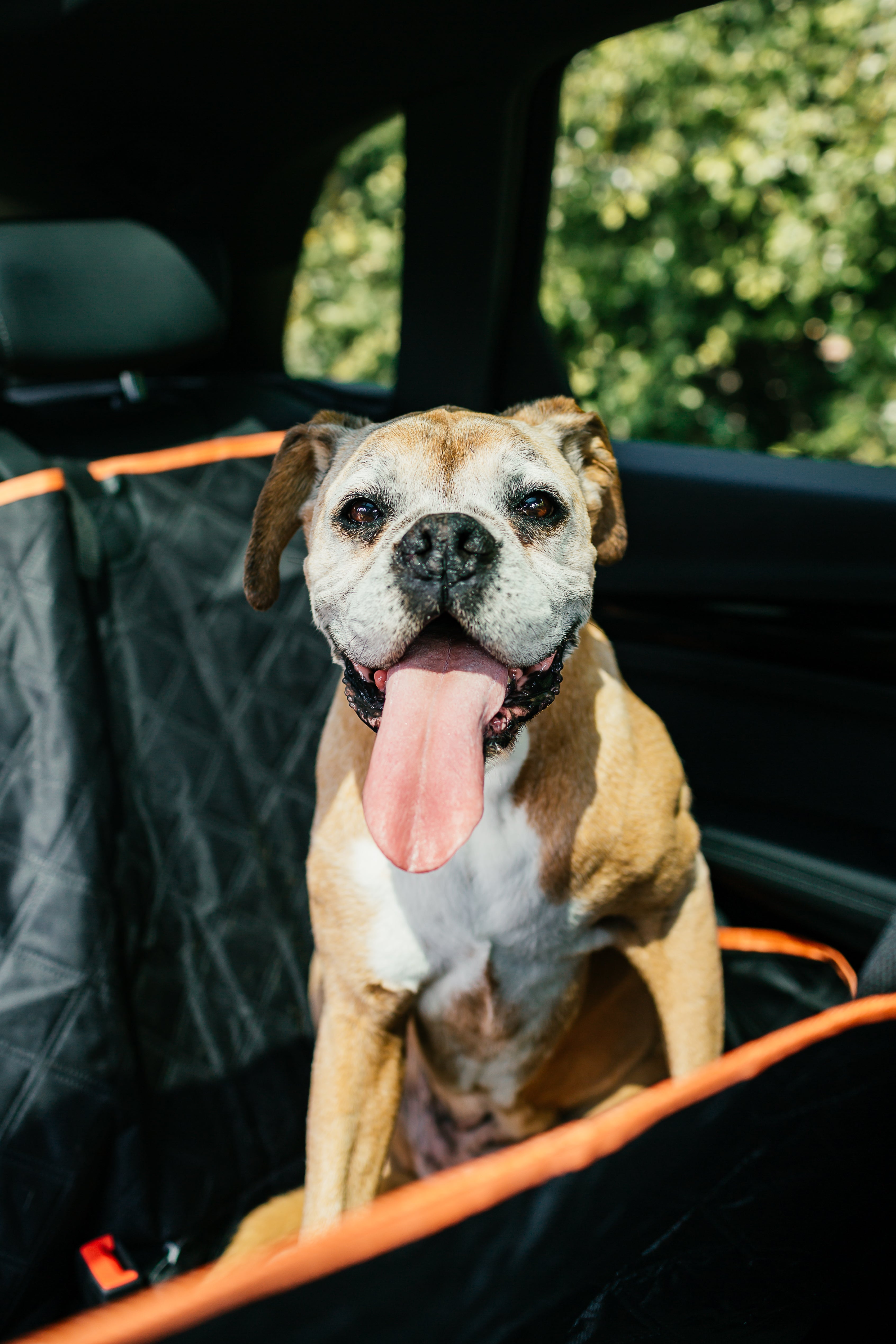 The Dog Outpost Waterproof Dog Car Seat Cover