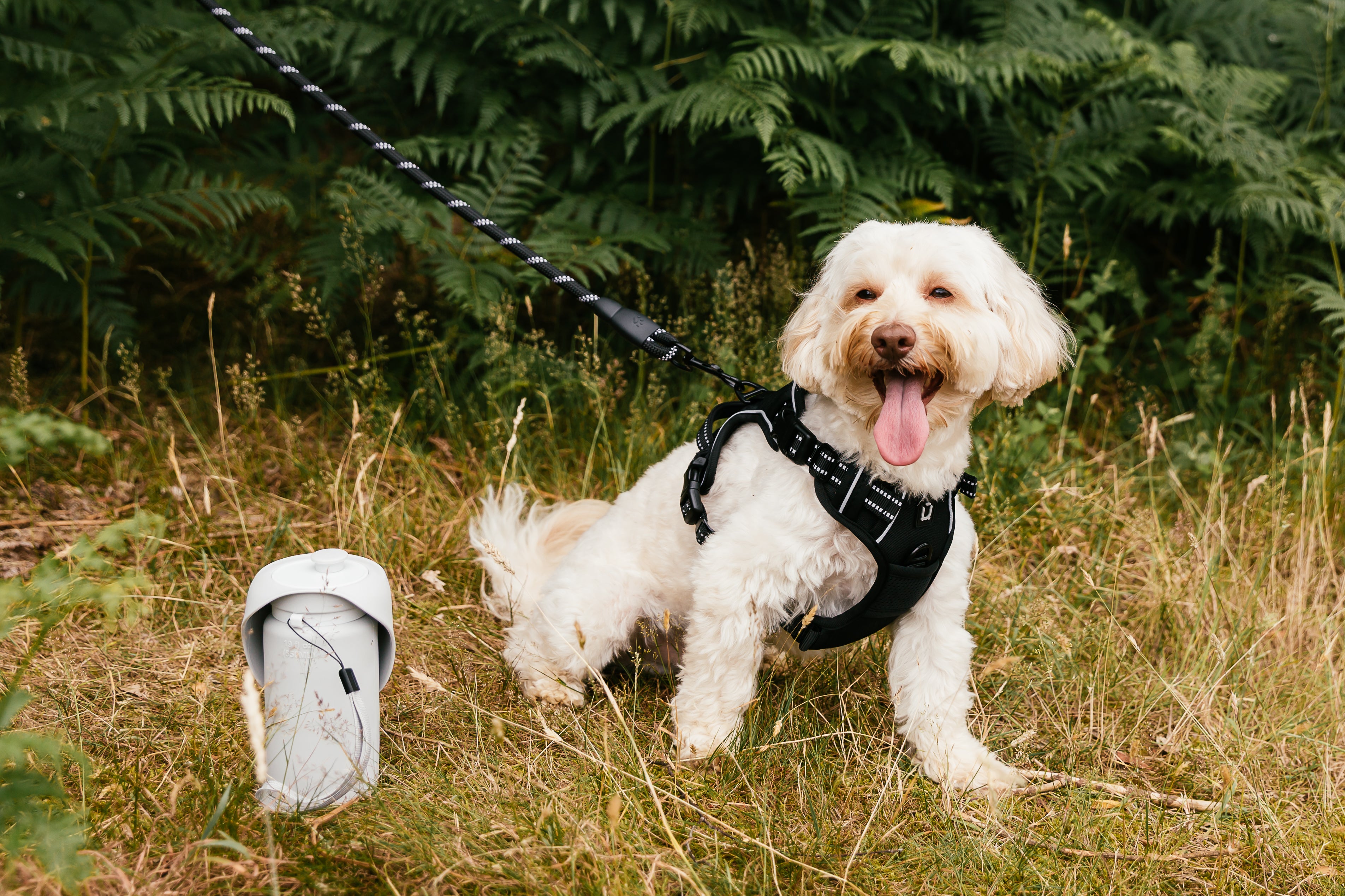 550ml Folding Dog Water Bottle