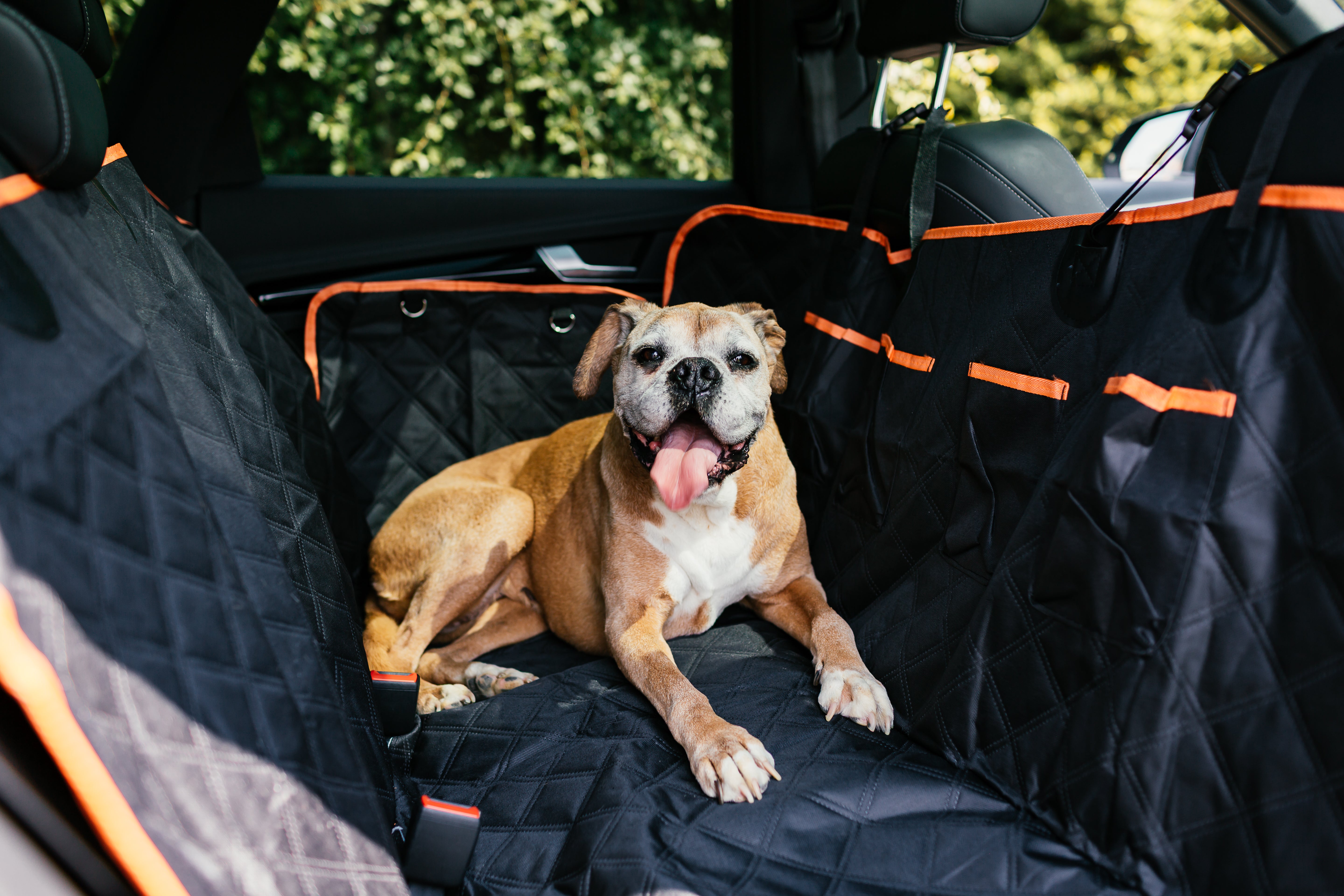 Waterproof Dog Car Seat Cover