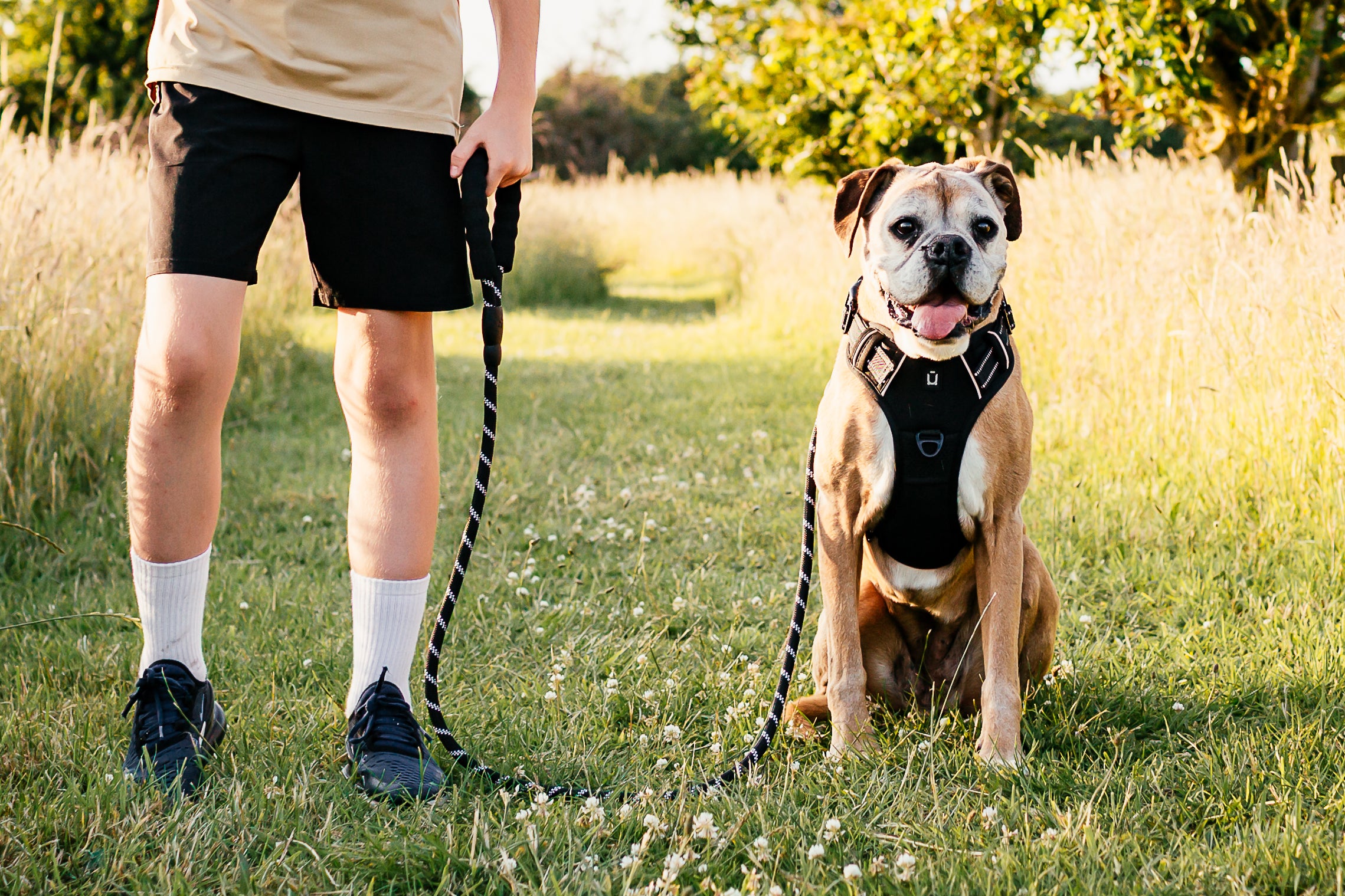 No Pull Adventure Dog Harness & Lead Set – Adjustable, Padded & Reflective