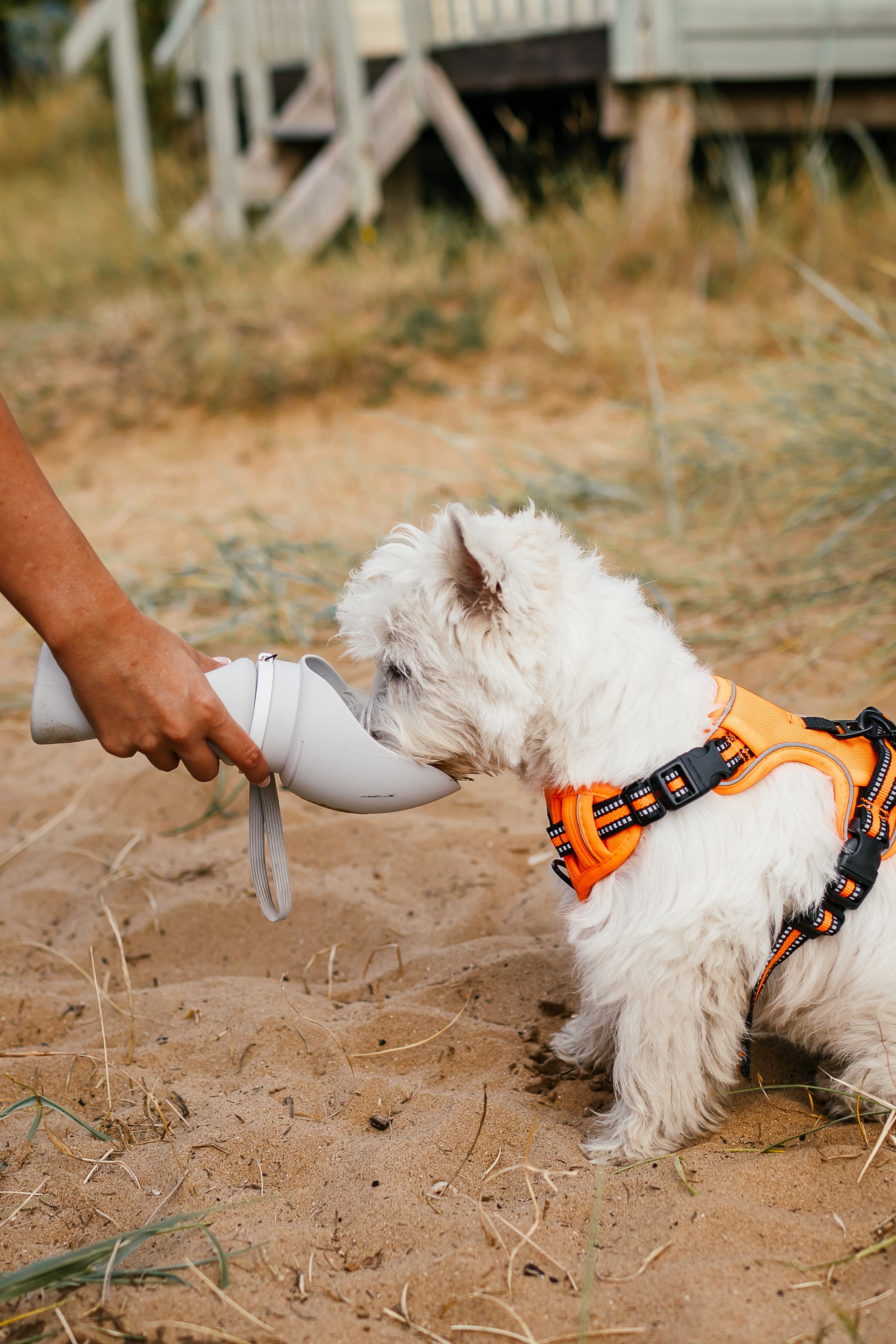 The Dog Outpost 550ml Folding Dog Water Bottle