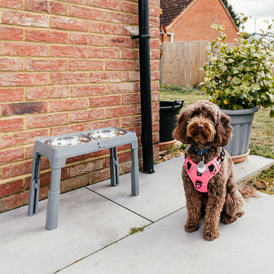 The Dog Outpost Adjustable Elevated Dog Bowl Set