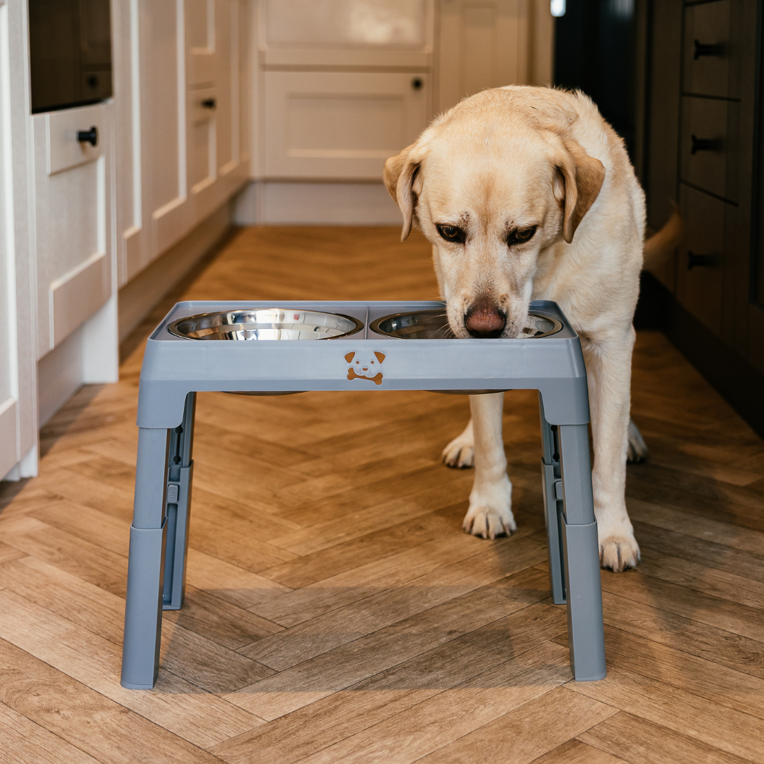 The Dog Outpost Adjustable Elevated Dog Bowl Set