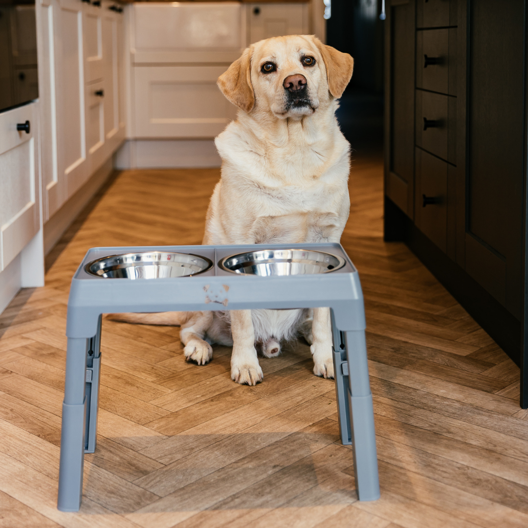 The Dog Outpost Adjustable Elevated Dog Bowl Set
