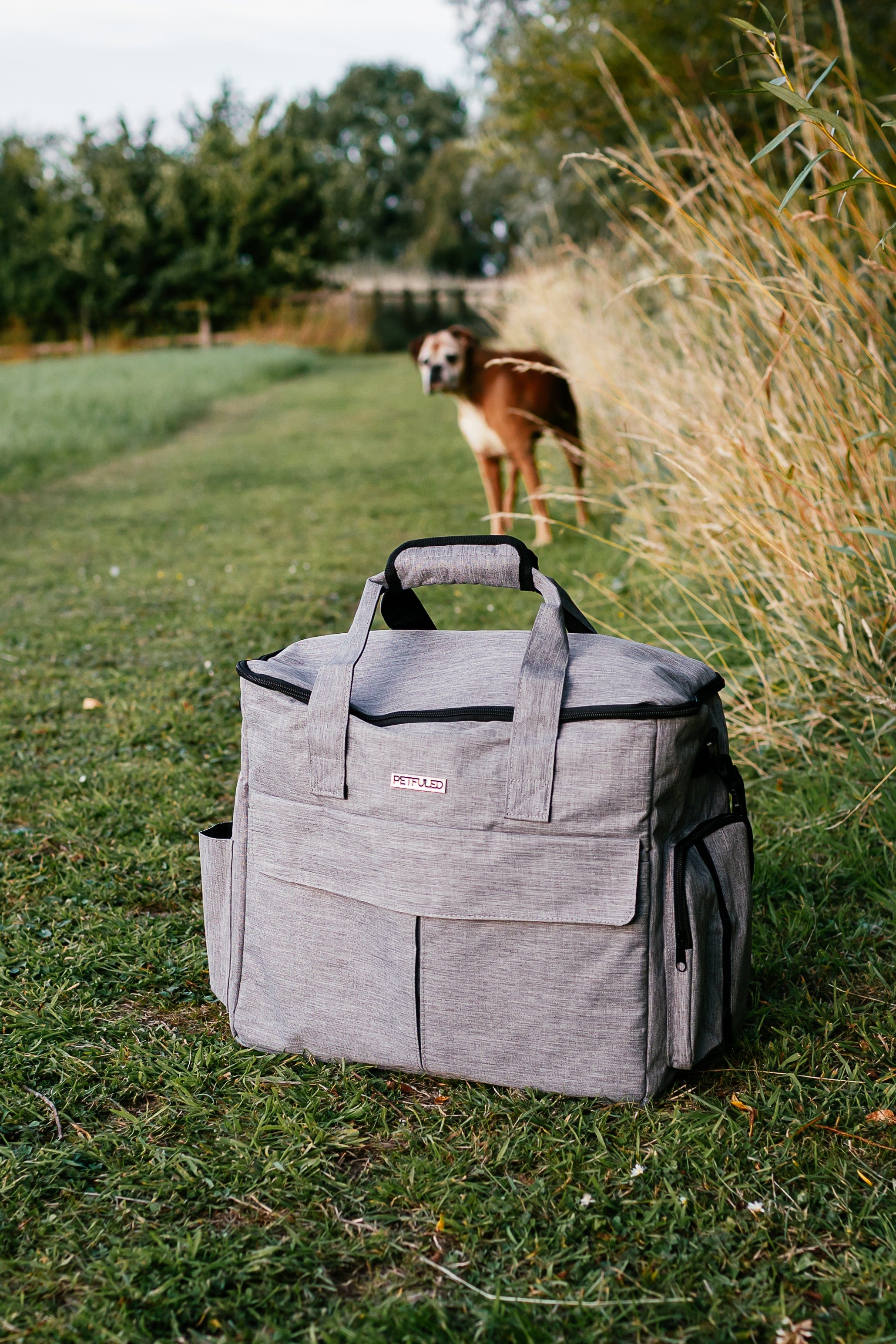 The Dog Outpost Dog Travel Bag Set