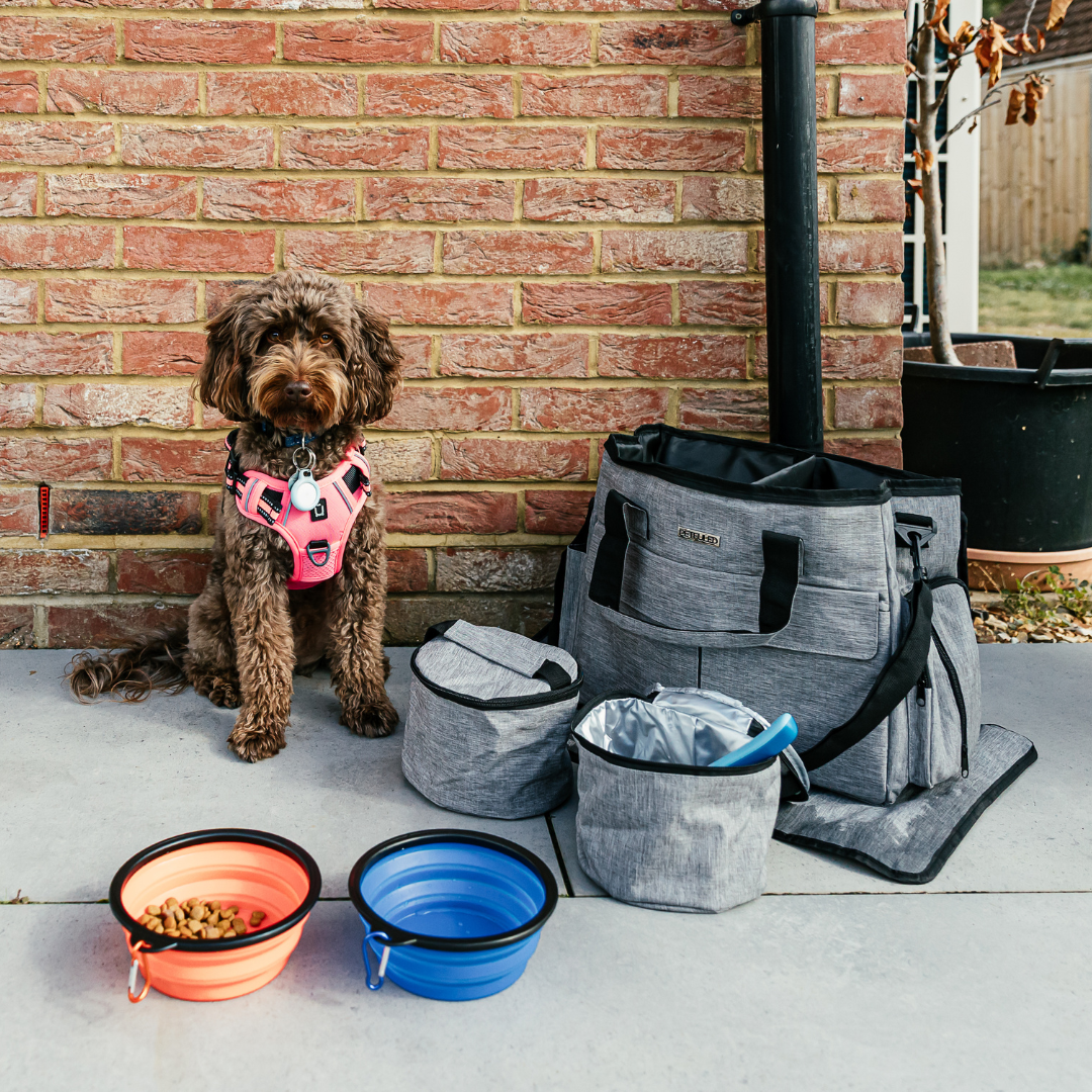 The Dog Outpost Dog Travel Bag Set