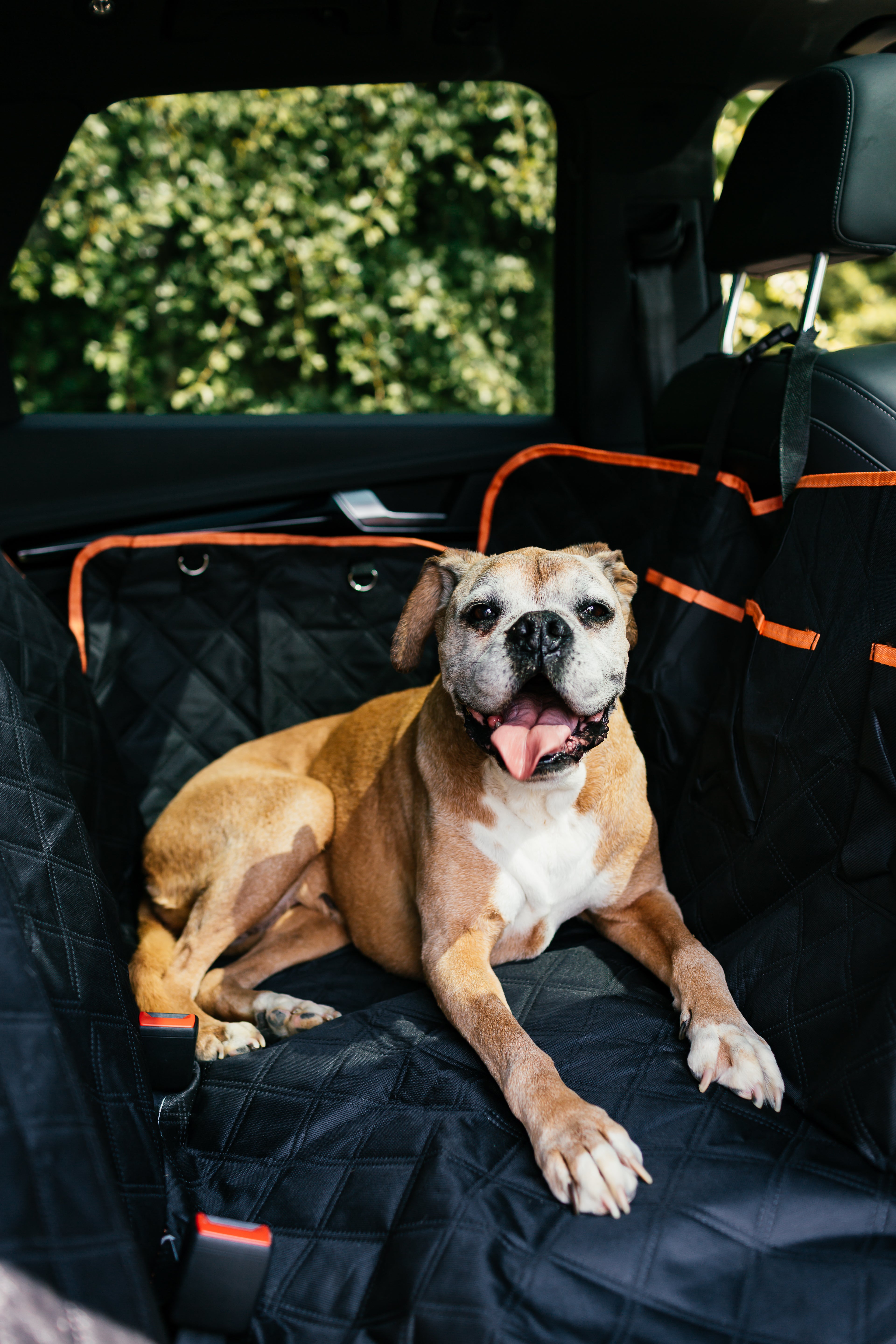 The Dog Outpost Waterproof Dog Car Seat Cover