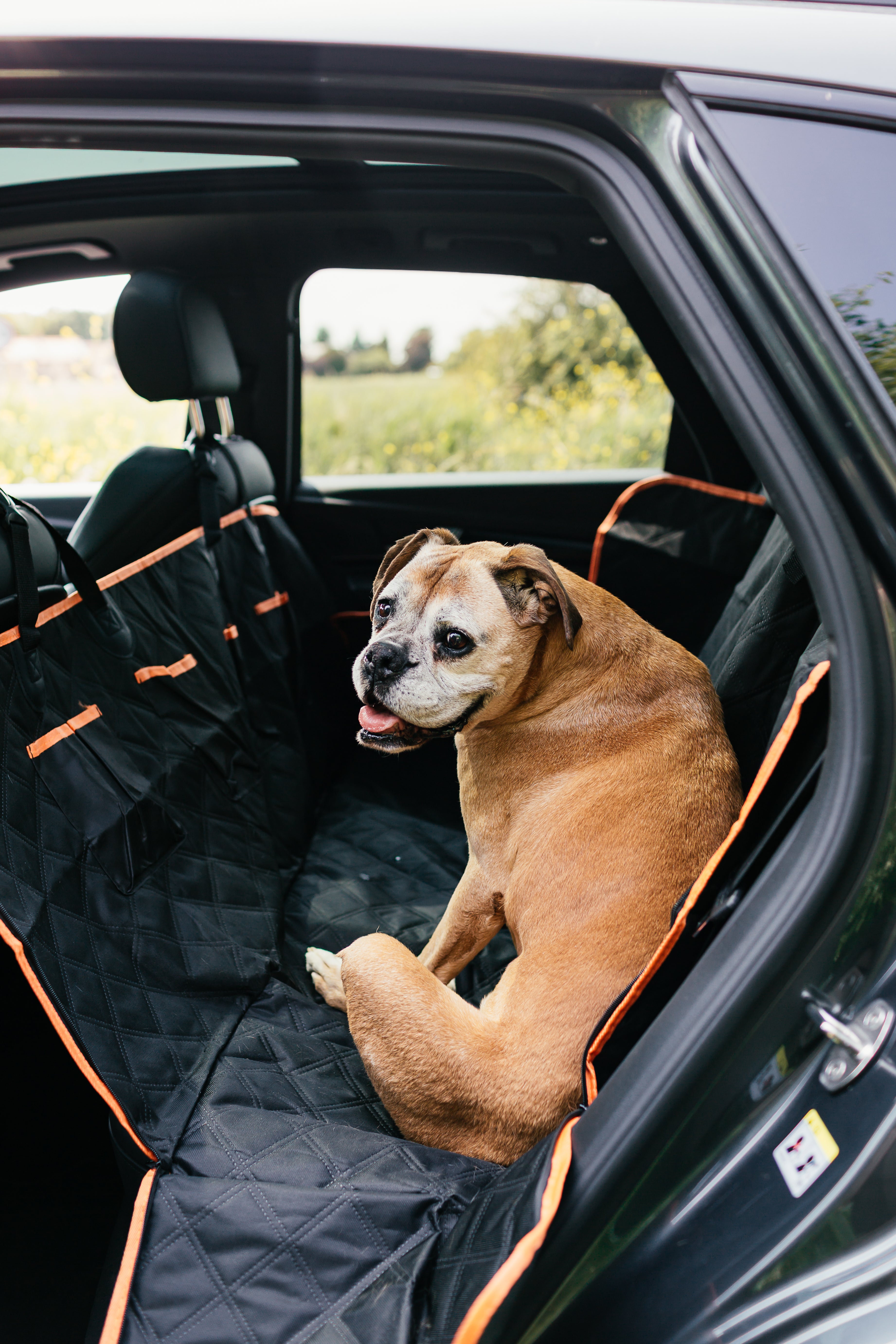 The Dog Outpost Waterproof Dog Car Seat Cover